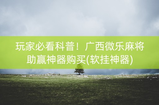 玩家必看科普！广西微乐麻将助赢神器购买(软挂神器)