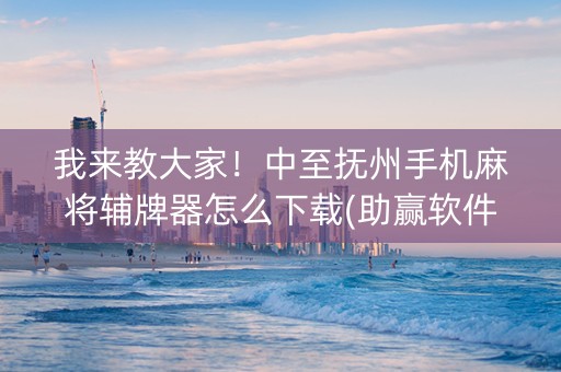 我来教大家！中至抚州手机麻将辅牌器怎么下载(助赢软件有规律吗)