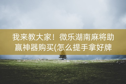 我来教大家！微乐湖南麻将助赢神器购买(怎么提手拿好牌)