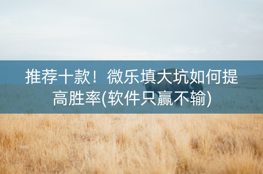 推荐十款！微乐填大坑如何提高胜率(软件只赢不输)