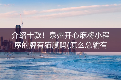 介绍十款！泉州开心麻将小程序的牌有猫腻吗(怎么总输有什么猫腻)