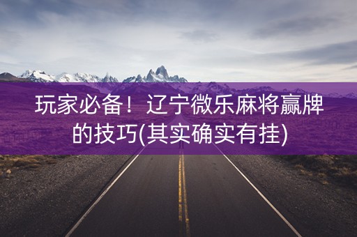 玩家必备！辽宁微乐麻将赢牌的技巧(其实确实有挂)