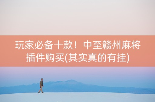 玩家必备十款！中至赣州麻将插件购买(其实真的有挂)