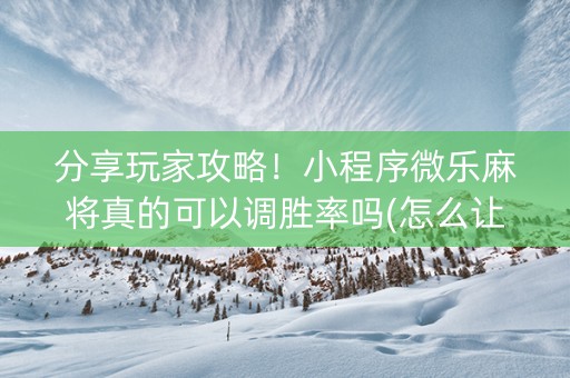 分享玩家攻略！小程序微乐麻将真的可以调胜率吗(怎么让牌更好)