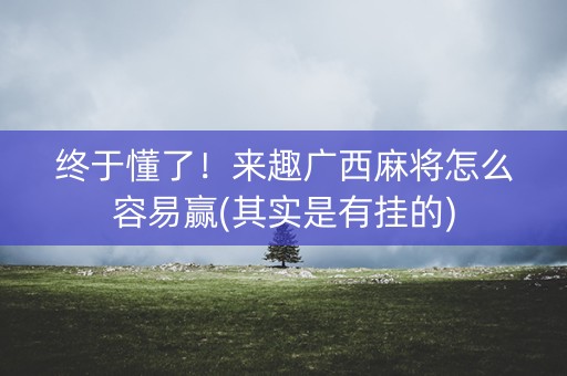 终于懂了！来趣广西麻将怎么容易赢(其实是有挂的)