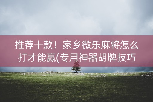 推荐十款！家乡微乐麻将怎么打才能赢(专用神器胡牌技巧)