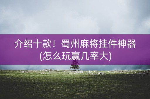 介绍十款！蜀州麻将挂件神器(怎么玩赢几率大)