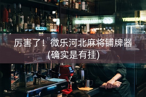厉害了！微乐河北麻将铺牌器(确实是有挂)