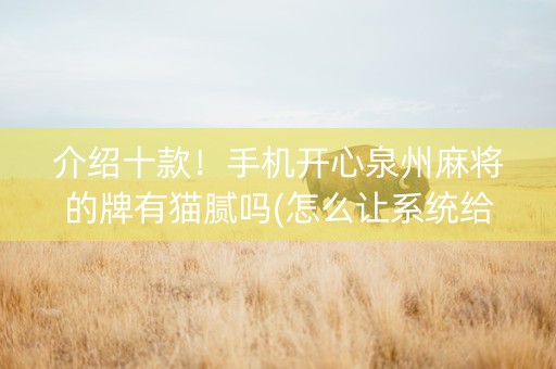介绍十款！手机开心泉州麻将的牌有猫腻吗(怎么让系统给好牌)