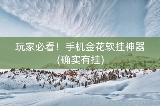 玩家必看！手机金花软挂神器(确实有挂)