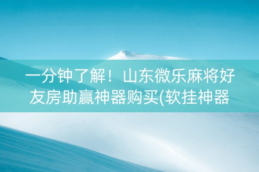 一分钟了解！山东微乐麻将好友房助赢神器购买(软挂神器)