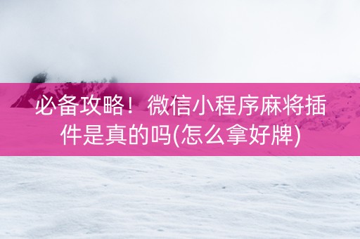 必备攻略！微信小程序麻将插件是真的吗(怎么拿好牌)