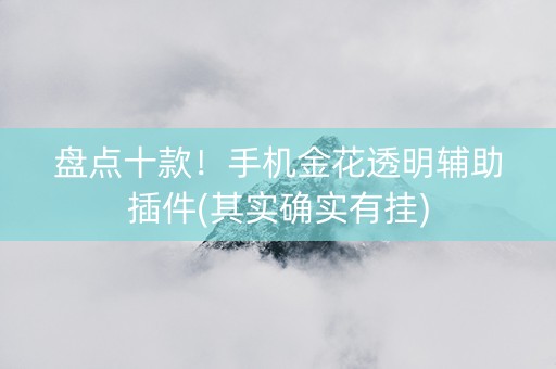 盘点十款！手机金花透明辅助插件(其实确实有挂)