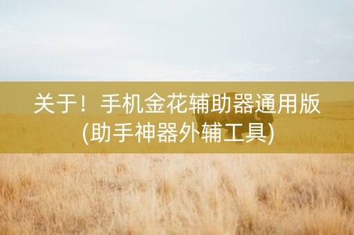 关于！手机金花辅助器通用版(助手神器外辅工具)