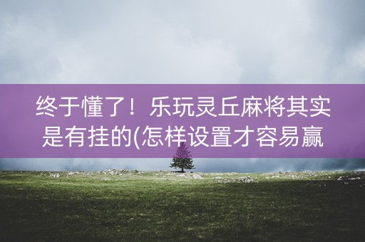 终于懂了！乐玩灵丘麻将其实是有挂的(怎样设置才容易赢)