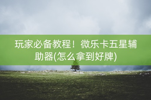 玩家必备教程！微乐卡五星辅助器(怎么拿到好牌)