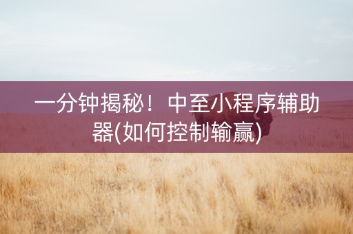 一分钟揭秘！中至小程序辅助器(如何控制输赢)