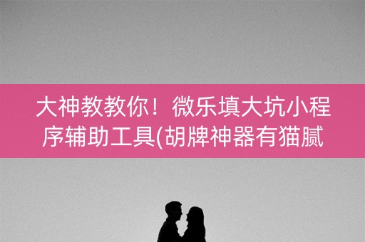 大神教教你！微乐填大坑小程序辅助工具(胡牌神器有猫腻吗)
