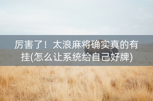 厉害了！太浪麻将确实真的有挂(怎么让系统给自己好牌)