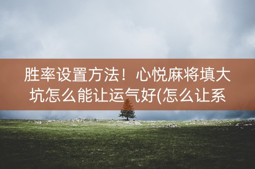 胜率设置方法！心悦麻将填大坑怎么能让运气好(怎么让系统发好牌)