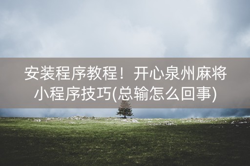 安装程序教程！开心泉州麻将小程序技巧(总输怎么回事)