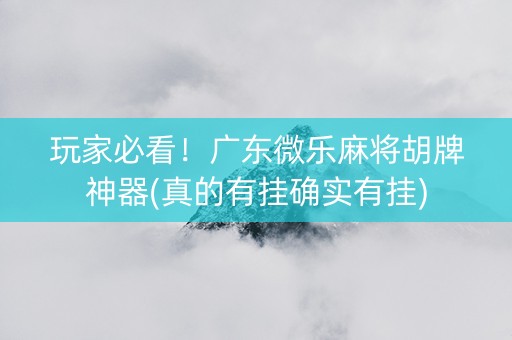 玩家必看！广东微乐麻将胡牌神器(真的有挂确实有挂)