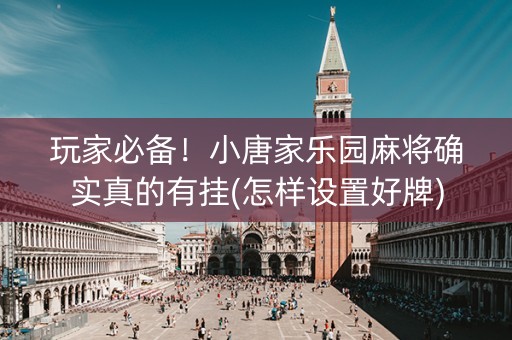 玩家必备！小唐家乐园麻将确实真的有挂(怎样设置好牌)