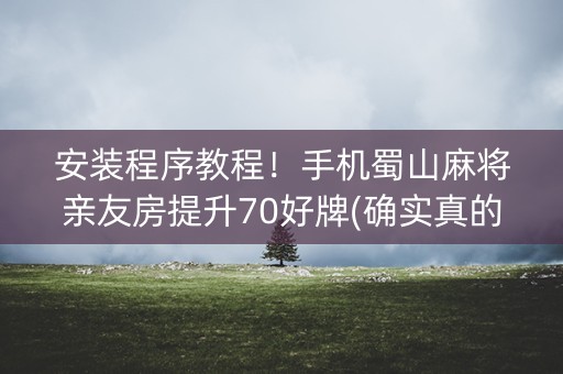 安装程序教程！手机蜀山麻将亲友房提升70好牌(确实真的有挂)