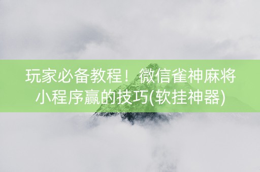 玩家必备教程！微信雀神麻将小程序赢的技巧(软挂神器)