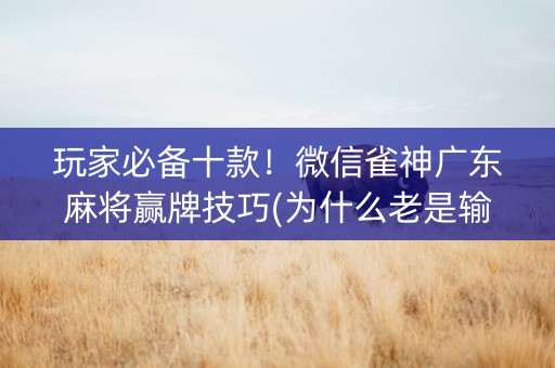 玩家必备十款！微信雀神广东麻将赢牌技巧(为什么老是输呢)