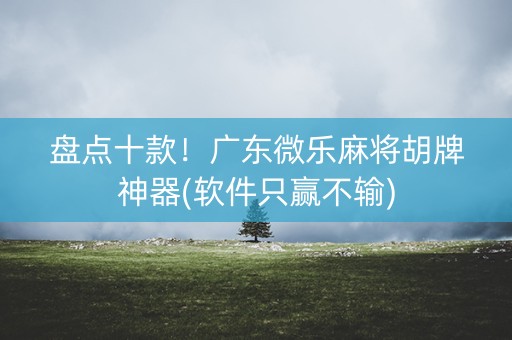 盘点十款！广东微乐麻将胡牌神器(软件只赢不输)