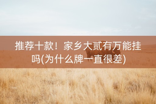 推荐十款！家乡大贰有万能挂吗(为什么牌一直很差)