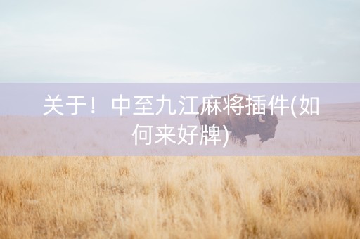 关于！中至九江麻将插件(如何来好牌)