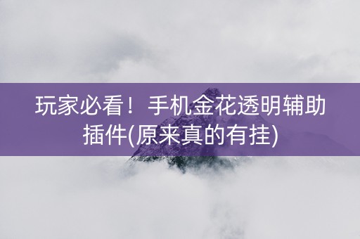 玩家必看！手机金花透明辅助插件(原来真的有挂)