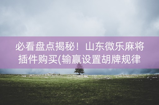 必看盘点揭秘！山东微乐麻将插件购买(输赢设置胡牌规律)