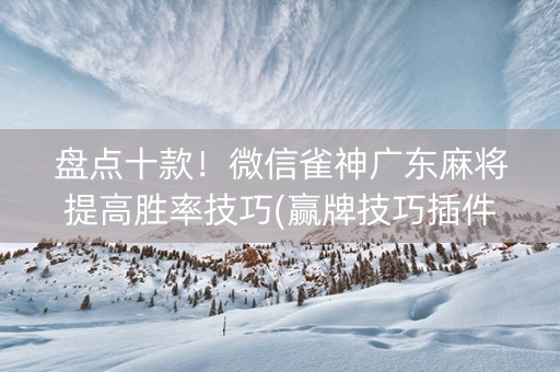 盘点十款！微信雀神广东麻将提高胜率技巧(赢牌技巧插件安装)