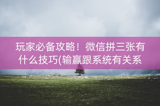 玩家必备攻略！微信拼三张有什么技巧(输赢跟系统有关系吗)