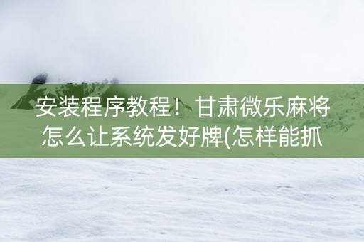 安装程序教程！甘肃微乐麻将怎么让系统发好牌(怎样能抓到好牌)