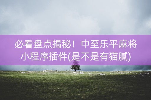 必看盘点揭秘！中至乐平麻将小程序插件(是不是有猫腻)