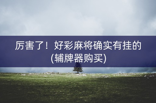 厉害了！好彩麻将确实有挂的(辅牌器购买)