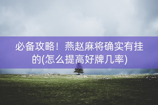 必备攻略！燕赵麻将确实有挂的(怎么提高好牌几率)