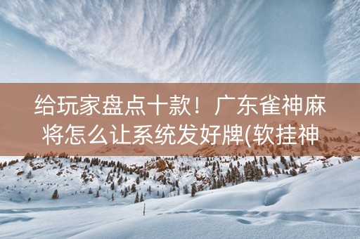 给玩家盘点十款！广东雀神麻将怎么让系统发好牌(软挂神器)