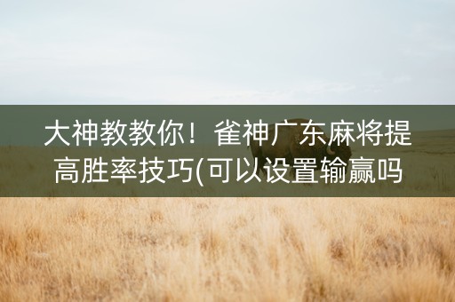 大神教教你！雀神广东麻将提高胜率技巧(可以设置输赢吗)