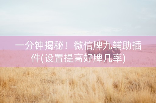 一分钟揭秘！微信牌九辅助插件(设置提高好牌几率)