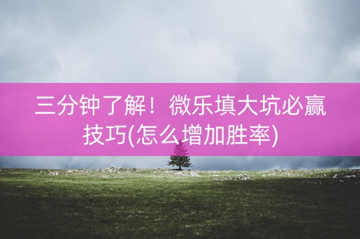 三分钟了解！微乐填大坑必赢技巧(怎么增加胜率)