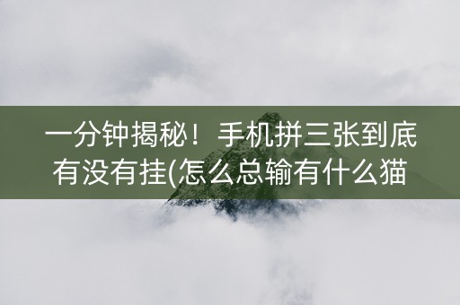 一分钟揭秘！手机拼三张到底有没有挂(怎么总输有什么猫腻)
