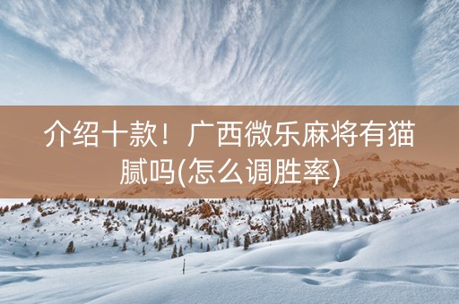 介绍十款！广西微乐麻将有猫腻吗(怎么调胜率)