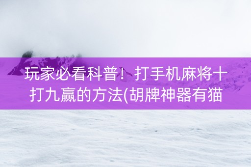玩家必看科普！打手机麻将十打九赢的方法(胡牌神器有猫腻吗)