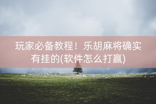 玩家必备教程！乐胡麻将确实有挂的(软件怎么打赢)