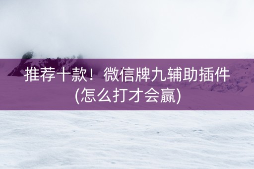 推荐十款！微信牌九辅助插件(怎么打才会赢)